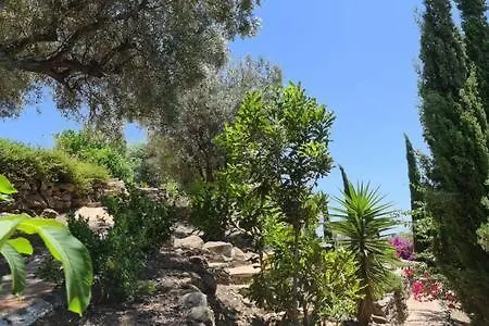 Villa El Castillo